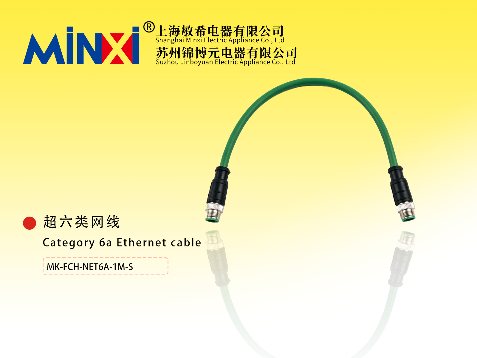Category 6a Ethernet cable